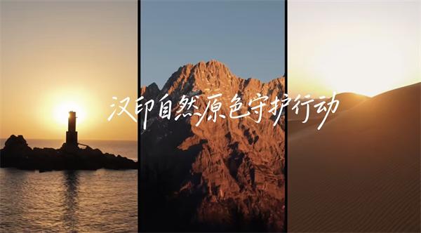008PG国际三原色守护行动